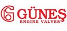 Gunes